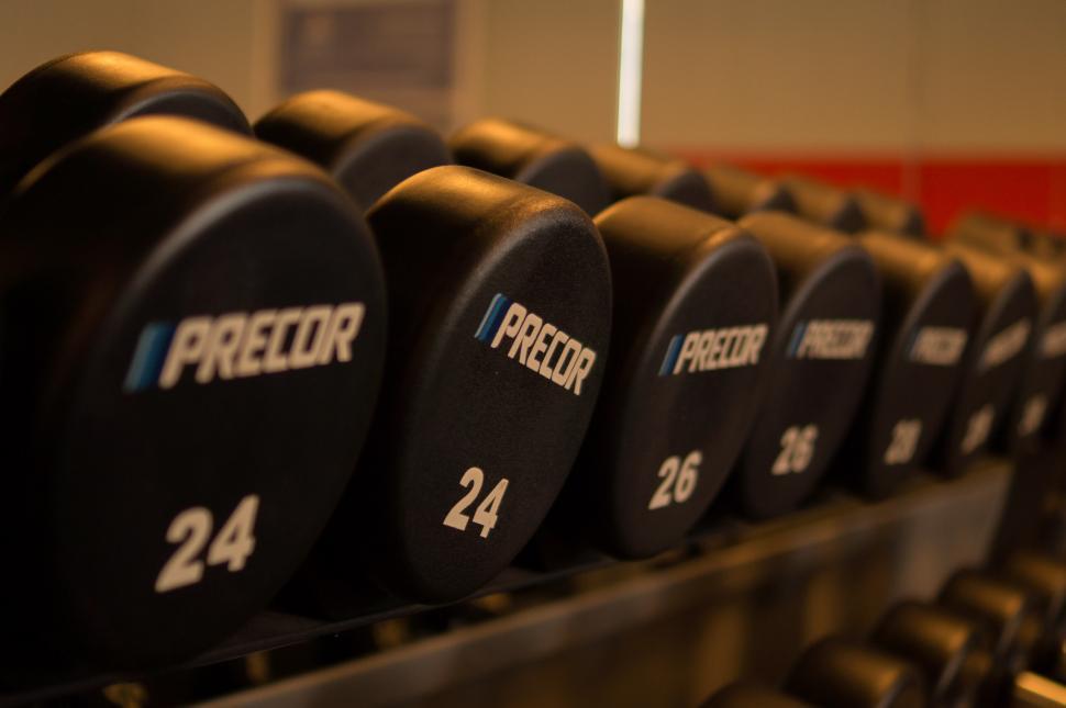 Free Image of Row of Black Dumbbells on Rack 