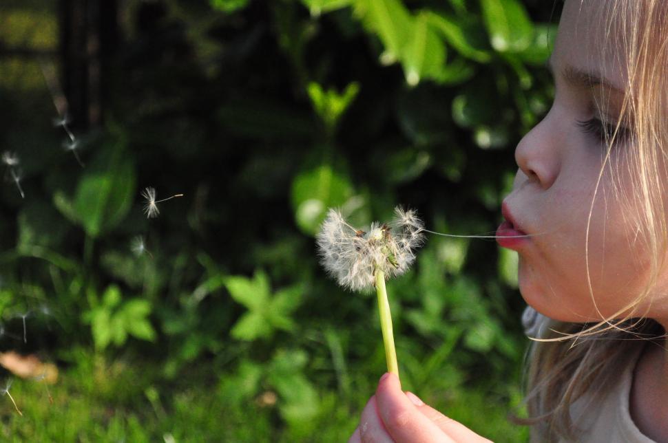 Free Image of Little Girl Blowing on Dandelion 