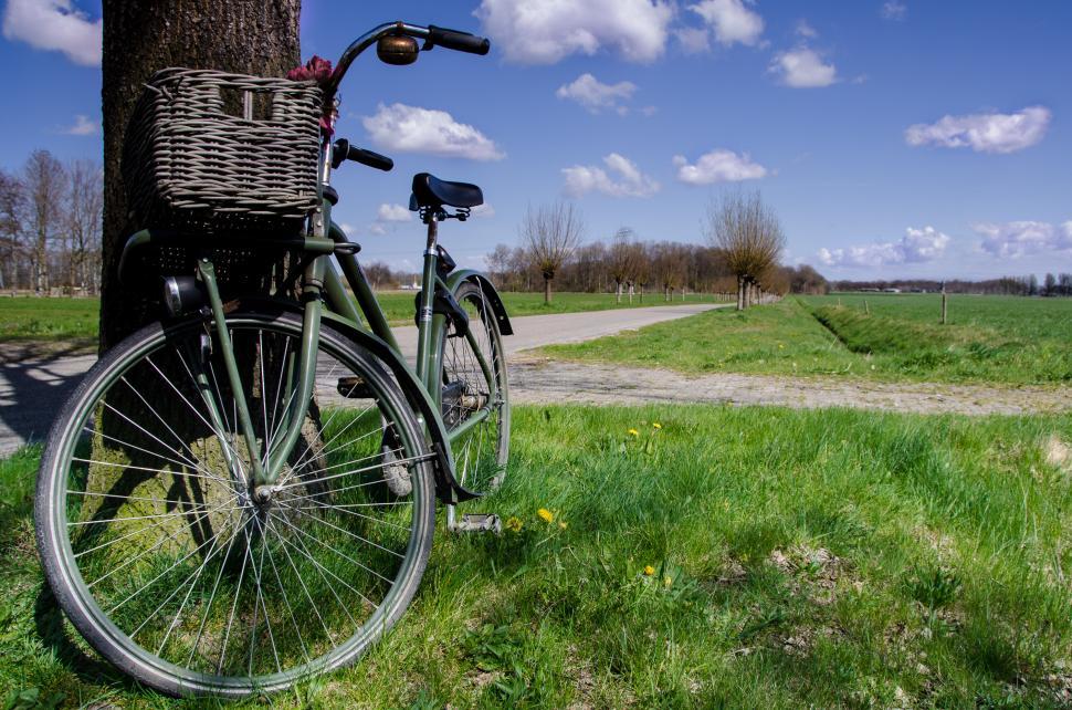 Free Image of Bike Parked Next to Tree in Field 