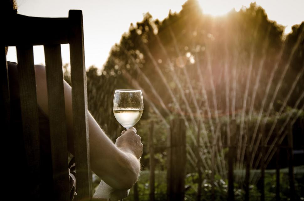 Free Image of Person Holding Glass of Wine 