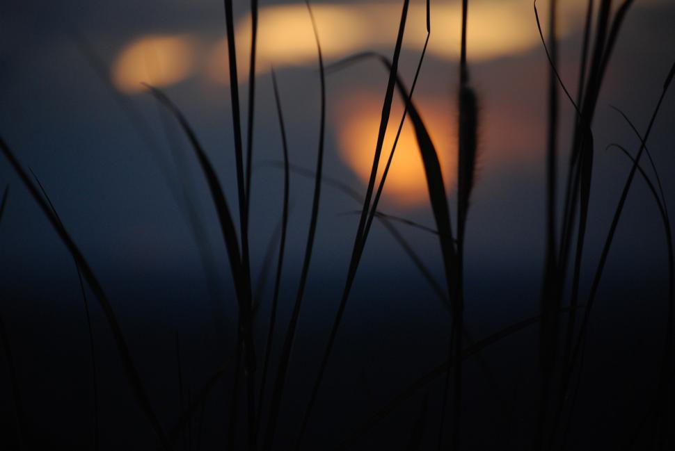 Free Image of evening time kerala 