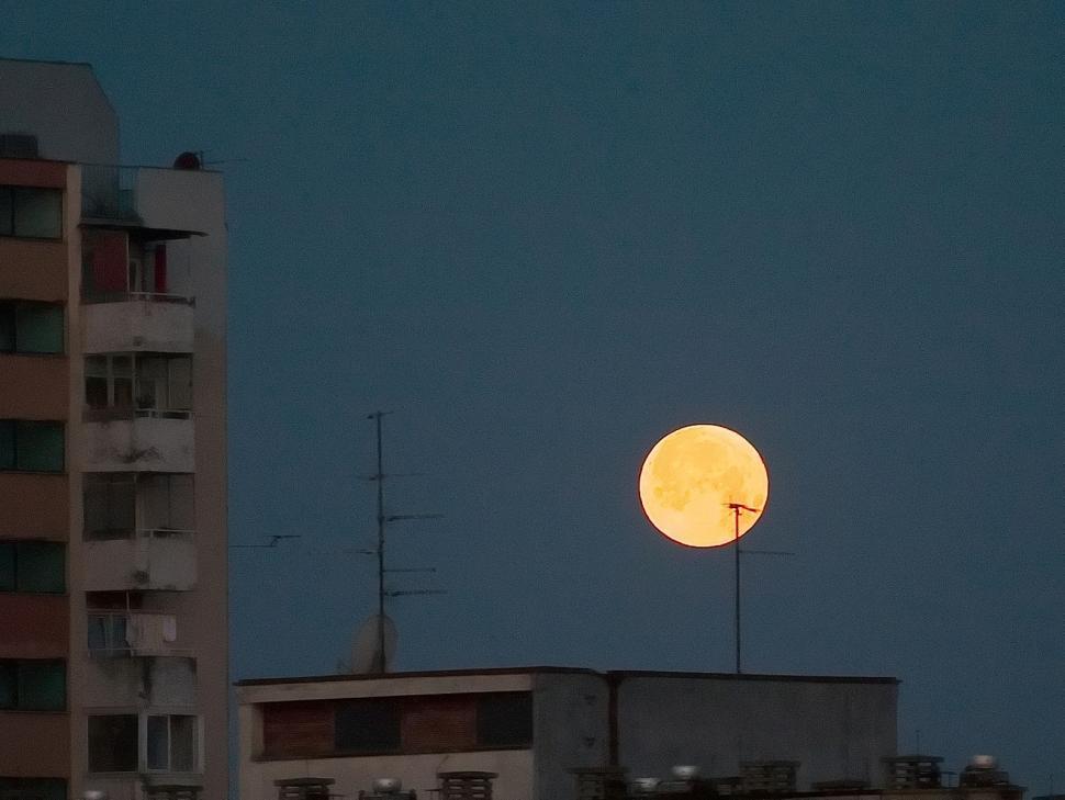 Free Image of Moon in the city 