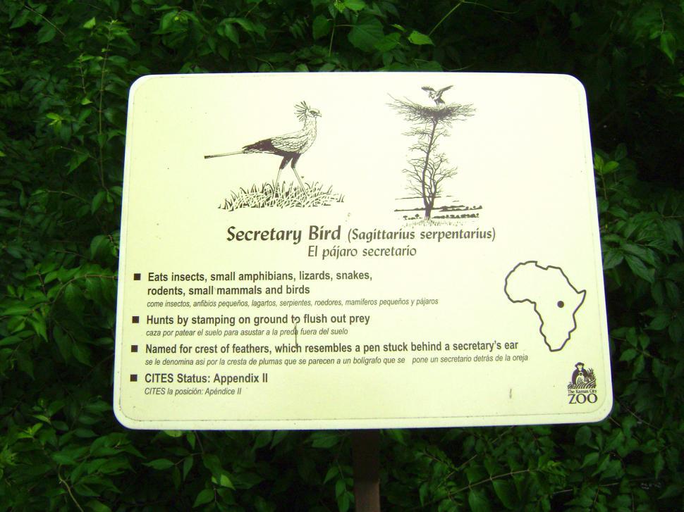 Free Image of Bird Info 