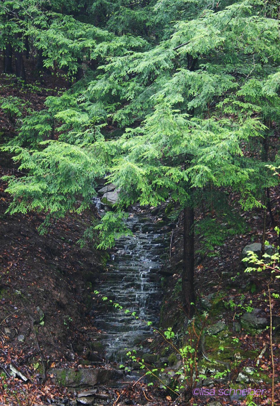Free Image of My waterfalls 