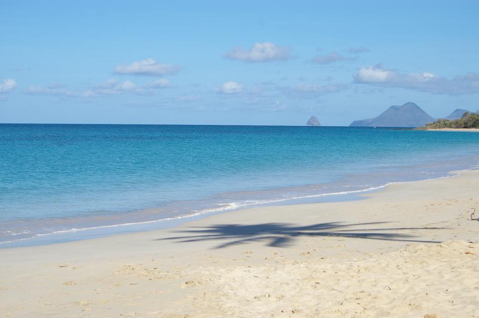 Free Image of Palm Tree Shadow on Beach 