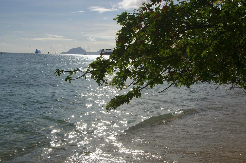 Free Image of Boat Sailing on Distant Waters 