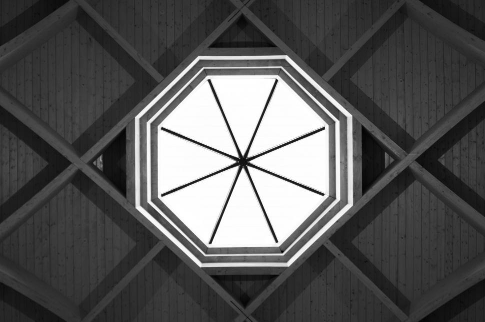 Free Image of Black and White Umbrella in Rain 