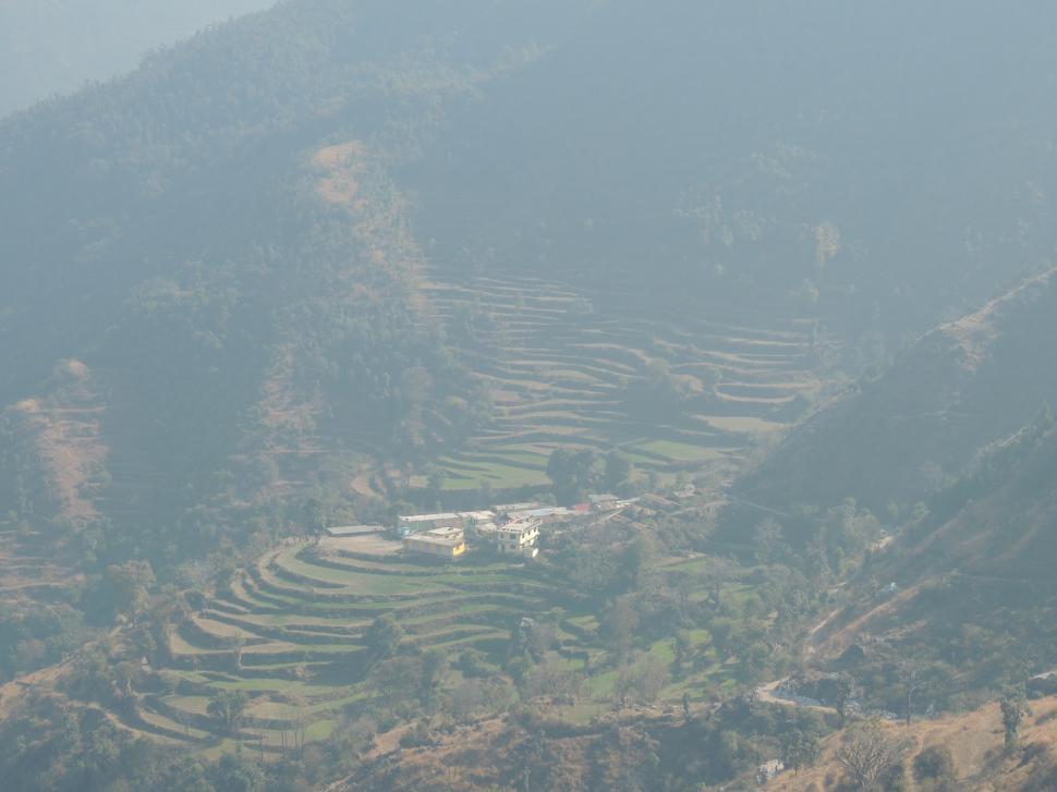 Free Image of terraced ladder farm   