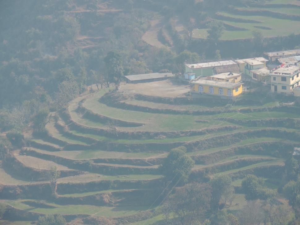 Free Image of ladder farm   