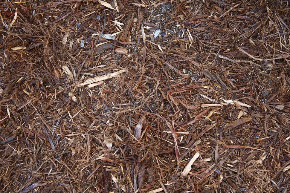 Free Image of Shredded Bark 