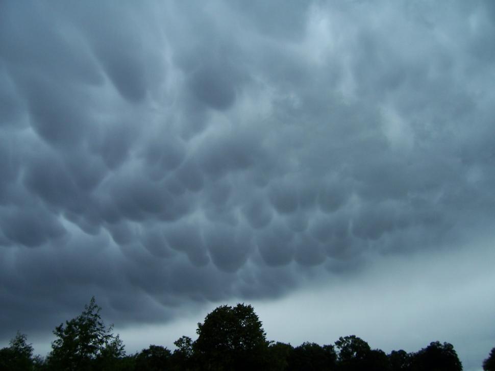 Free Image of Cloudy Sky With Trees in Foreground 