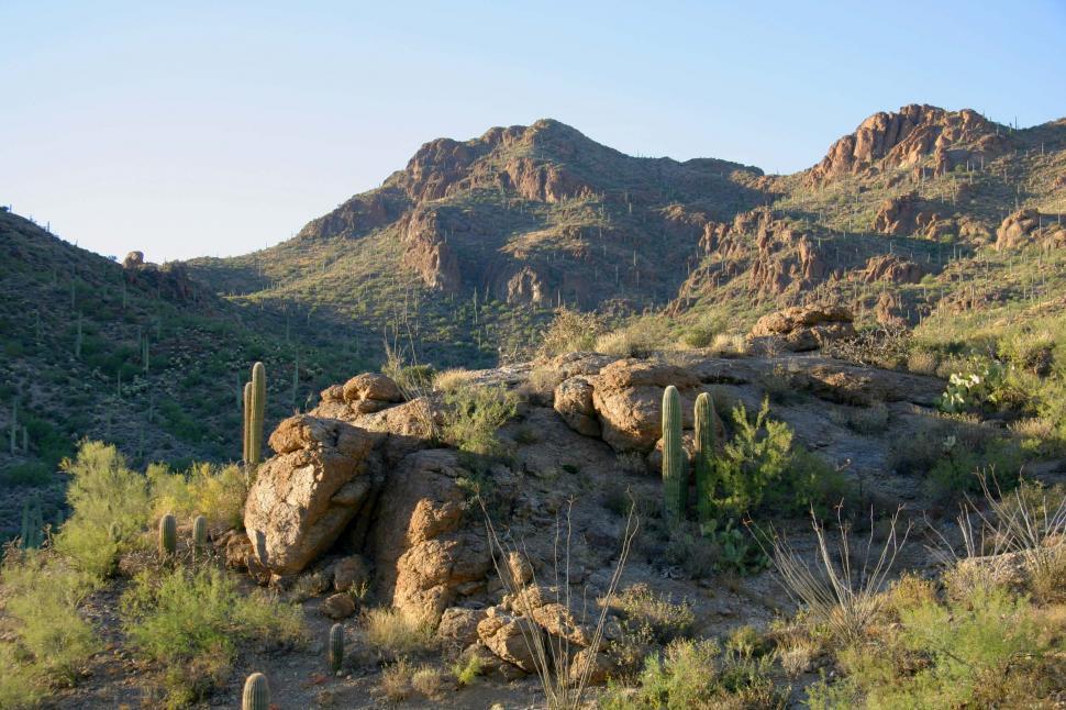 Free Image of Cactus Foreground in Mountain Range 