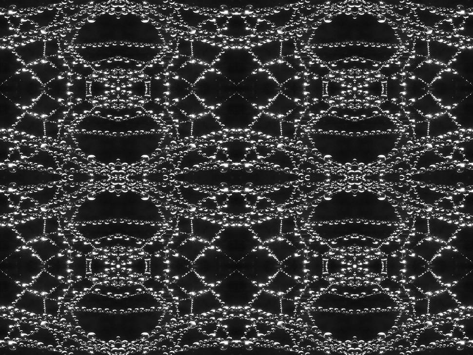 Free Image of Web dew  