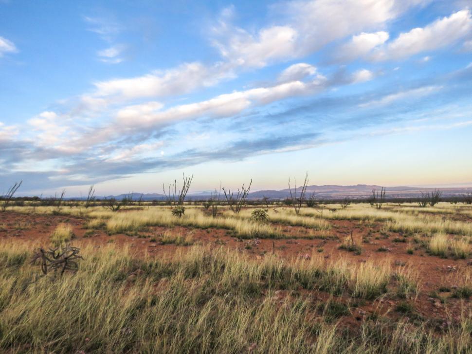 Free Image of Desert field 