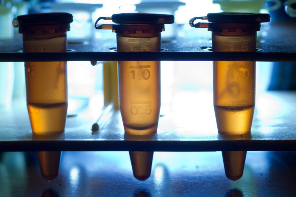 Free Image of Centrifuge tubes 
