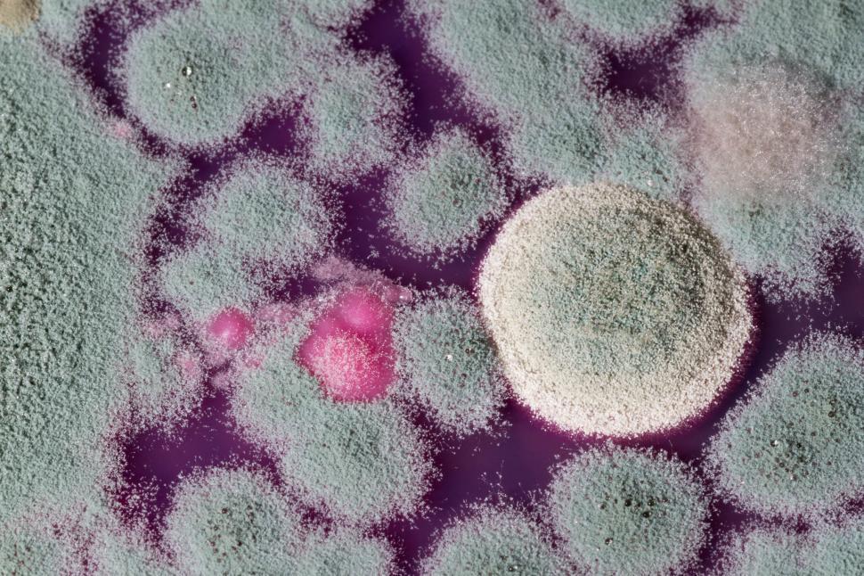 Free Image of Green and red mold  