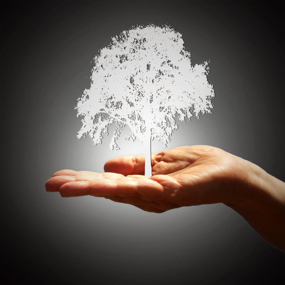 Free Image of Tree Silhouette on Hand - Growth Concept - Dark Background 