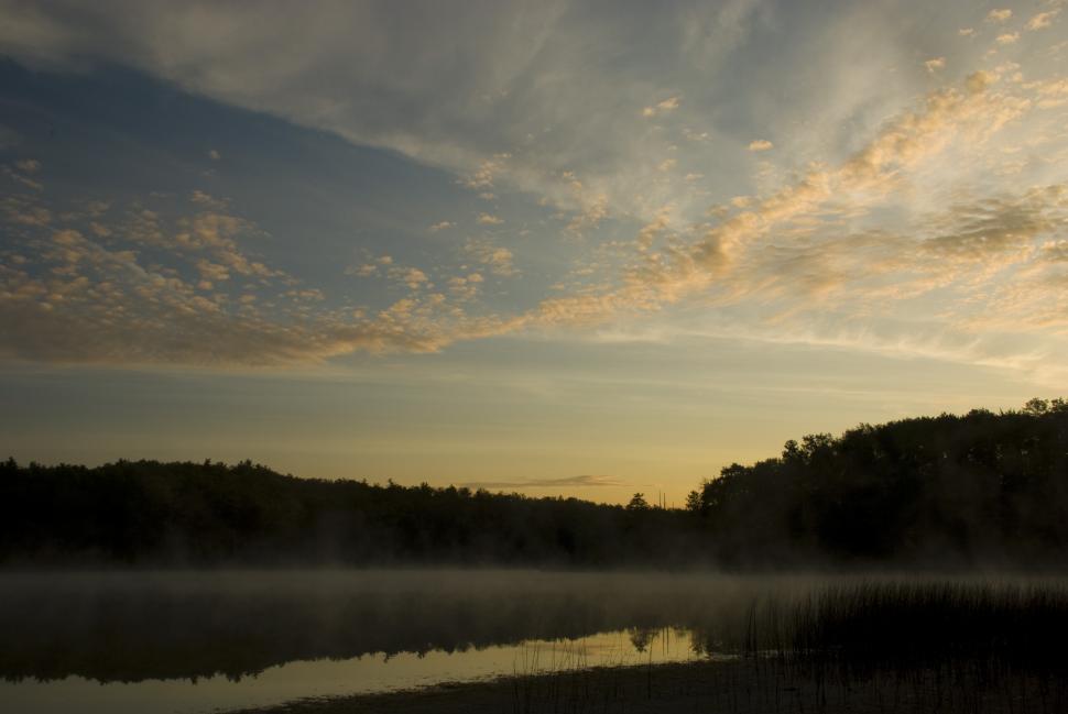 Free Image of Water Body Surrounded by Forest 