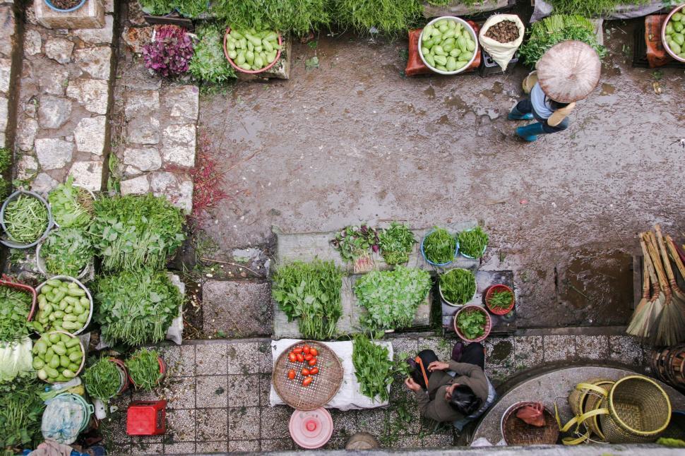 Free Image of Bustling Vegetable Market With Abundant Produce 