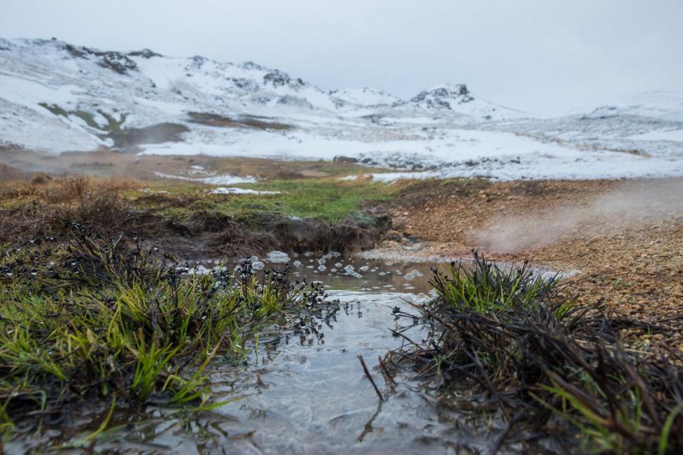Free Image of Water Stream Flowing Through Grass Field 