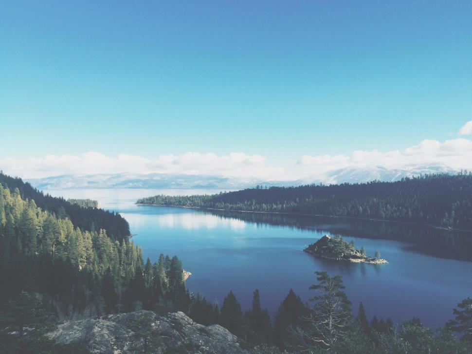 Free Image of Body of Water Surrounded by Trees 