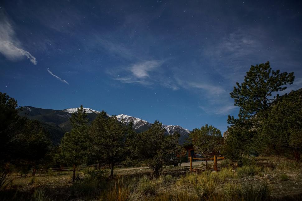 Free Image of Grassy Field With Trees and Mountains 