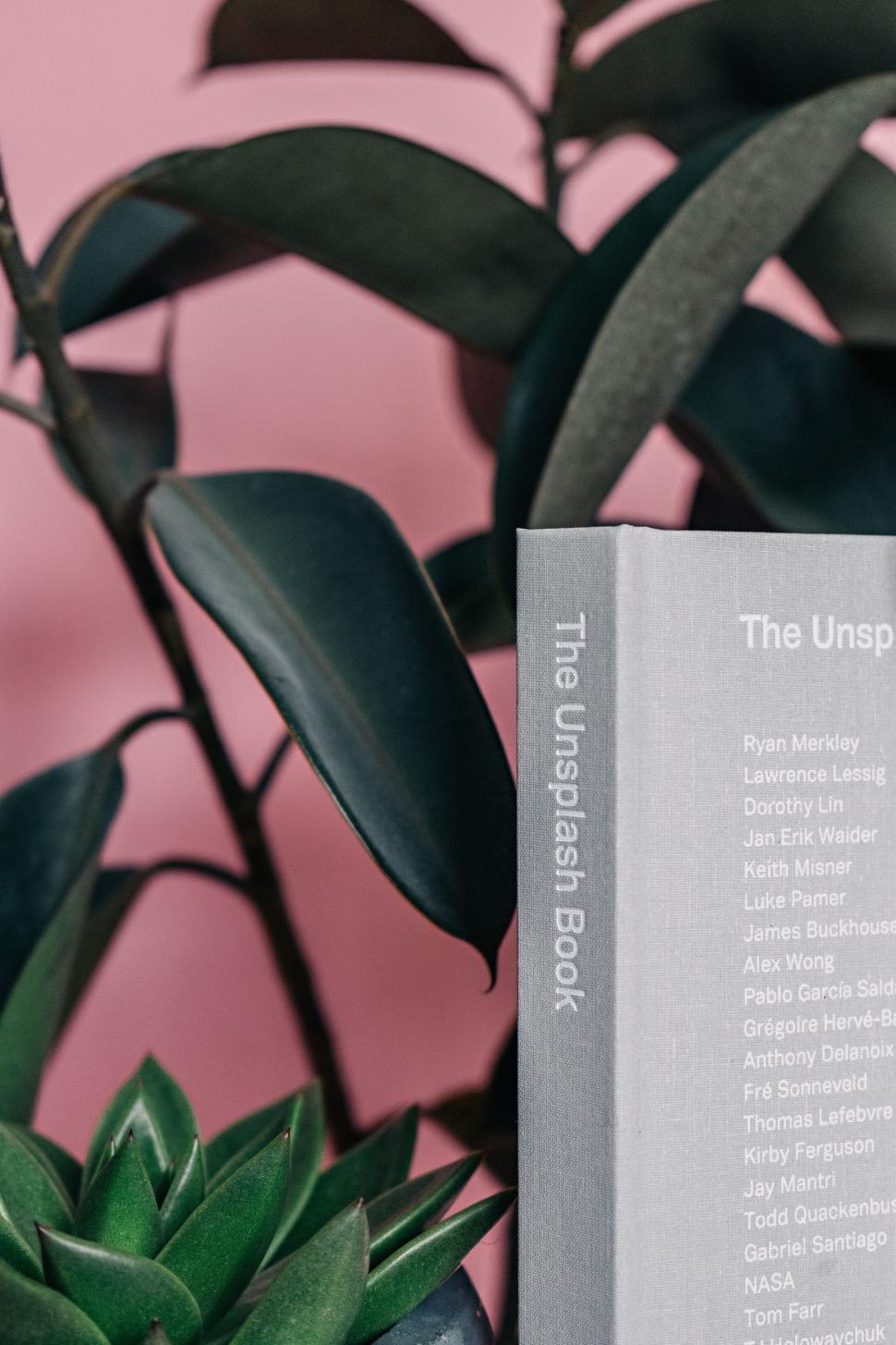 Free Image of Book on Table Next to Plant 