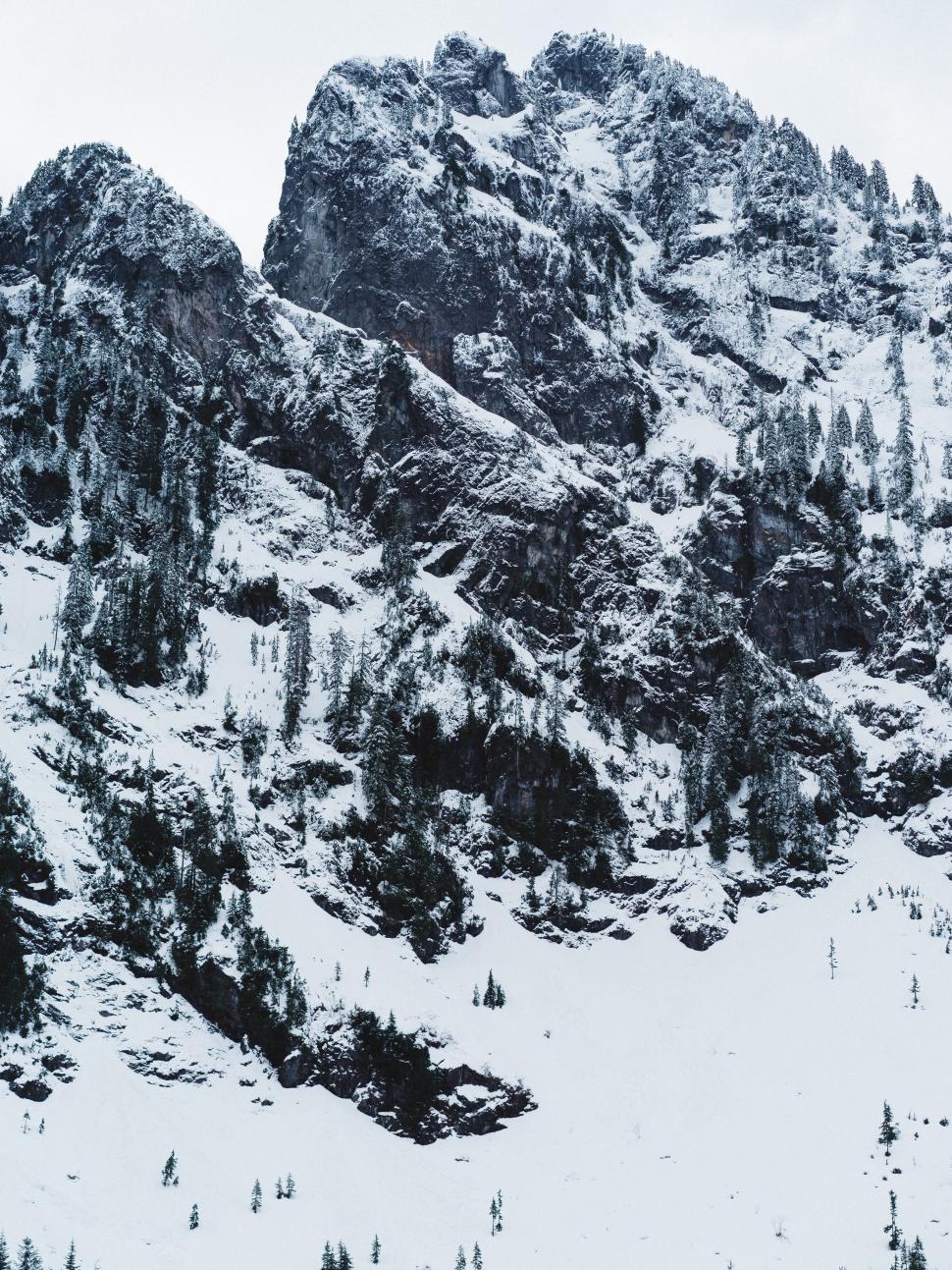 Free Image of Snow-Covered Mountain With Dense Tree Coverage 