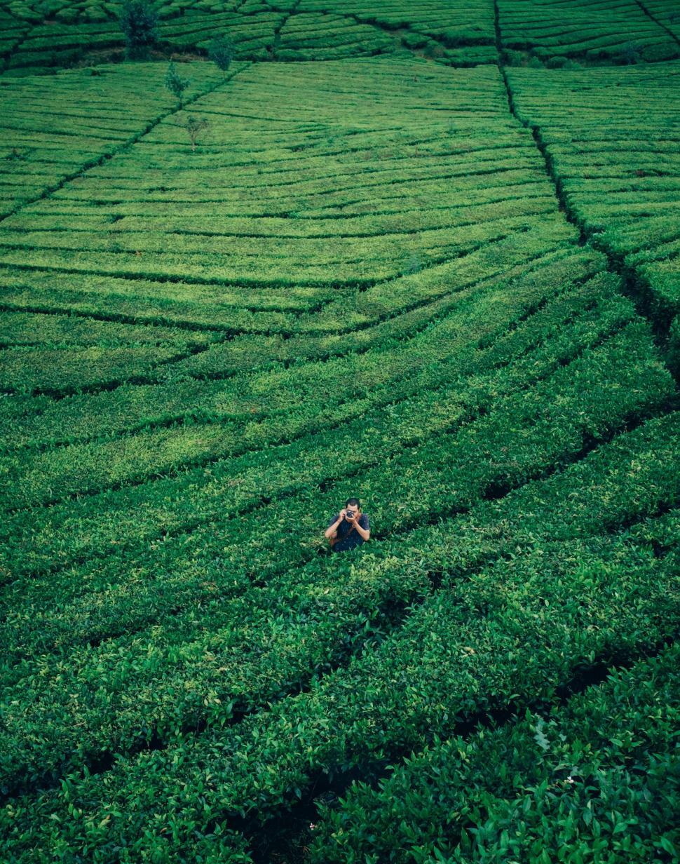 Free Image of Person Standing in Green Grass Field 