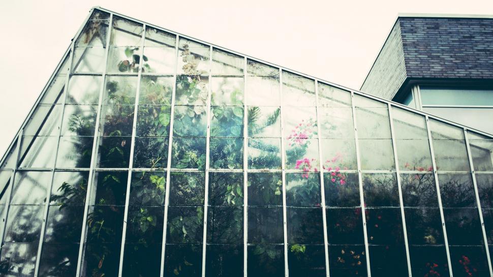 Free Image of Modern Glass Building With Clock 