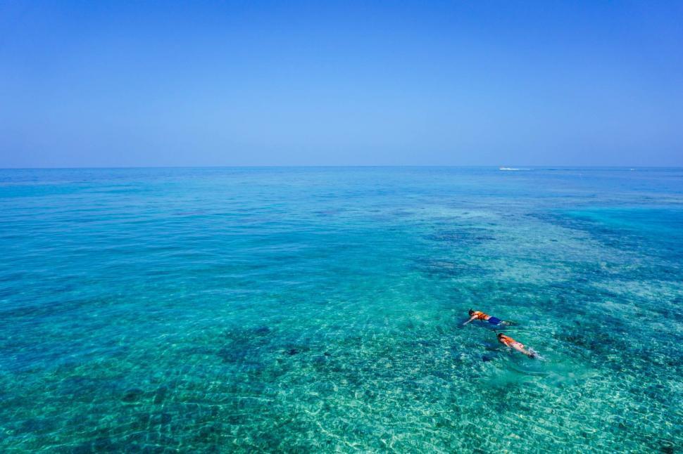 Free Image of Couple Swimming in the Ocean 