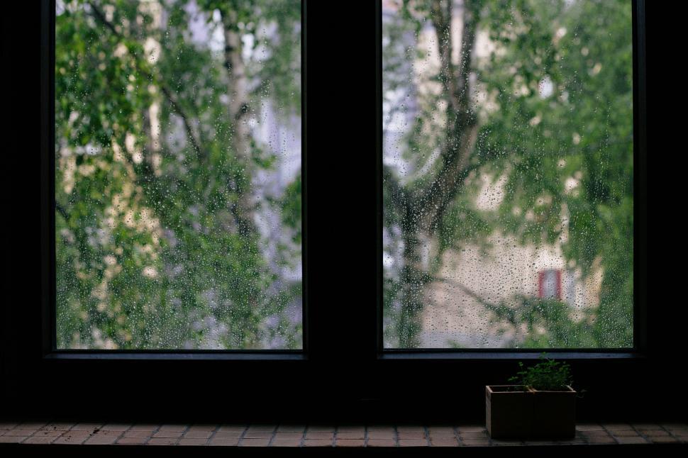 Free Image of Window With a View of a Tree Outside 