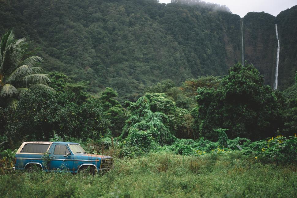 Free Image of Blue Truck Parked in Lush Green Forest 