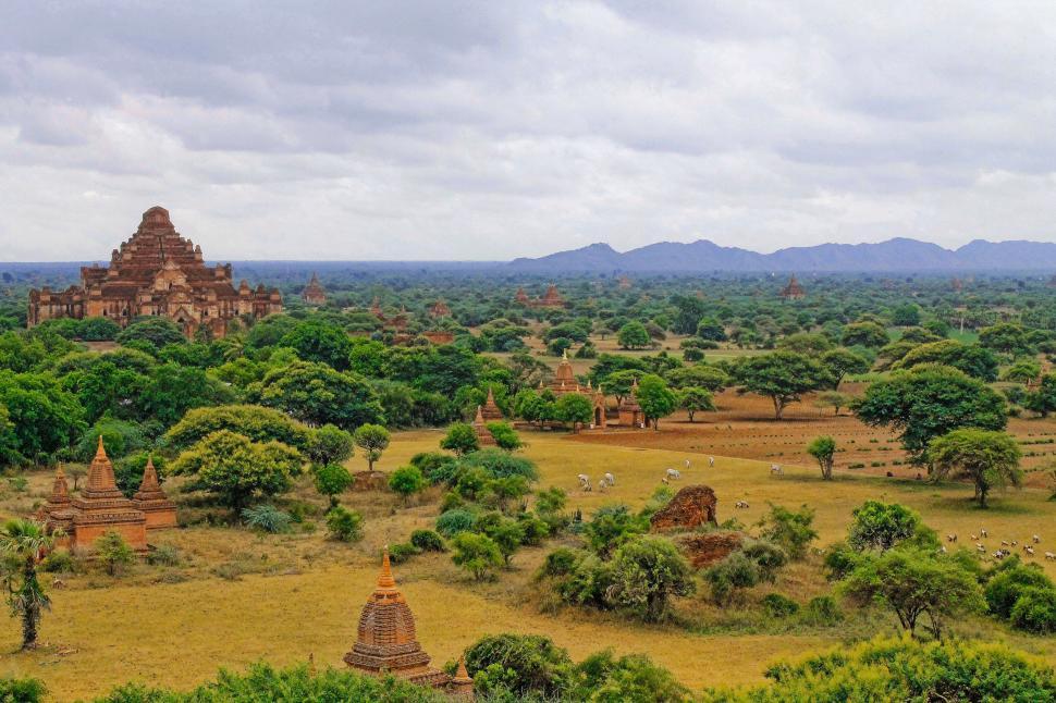 Free Image of Aerial View of Village Surrounded by Trees 