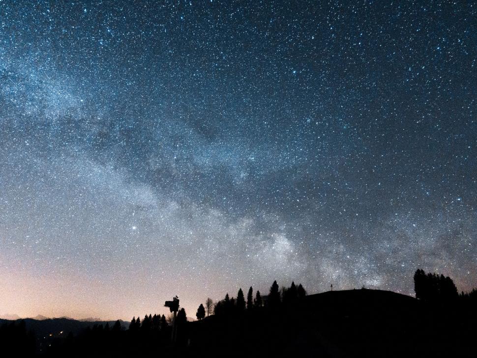 Free Image of Star-Filled Night Sky With Trees 