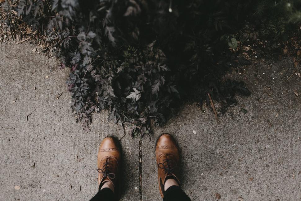 Free Image of Person Standing in Front of Bush 