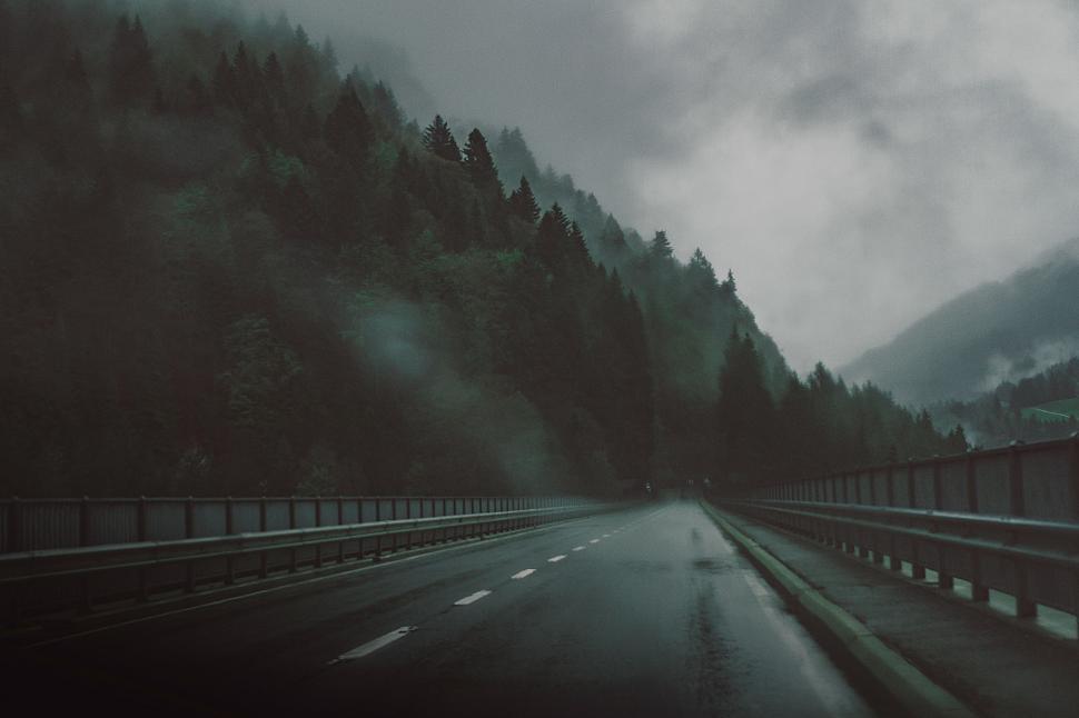 Free Image of A Path Through Trees 