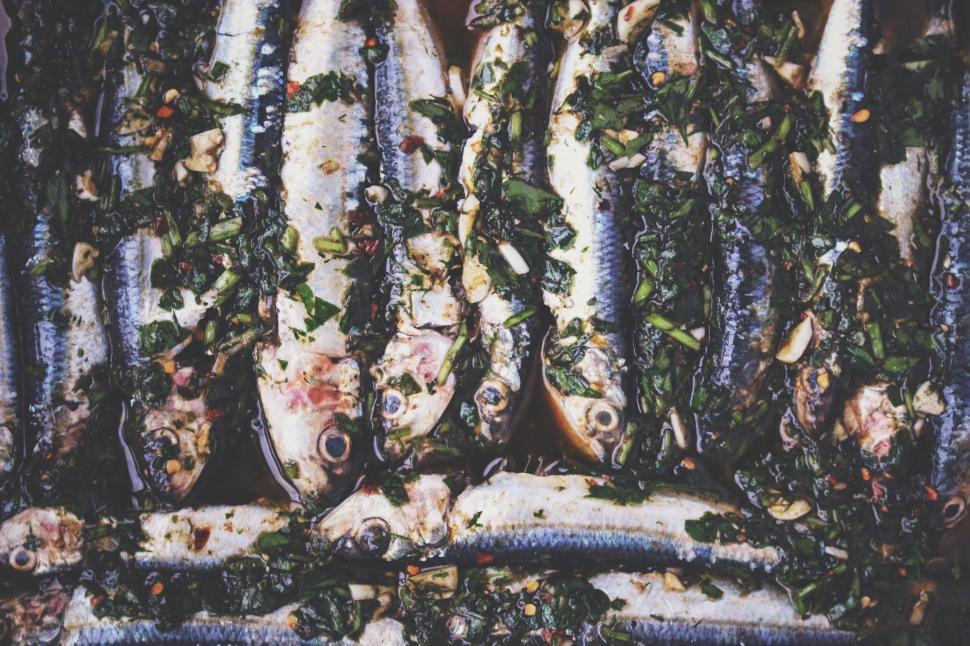 Free Image of School of Fish on Table 