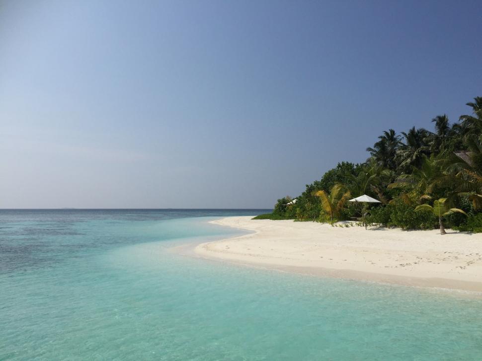 Free Image of Tropical Beach With Palm Trees and Clear Water 