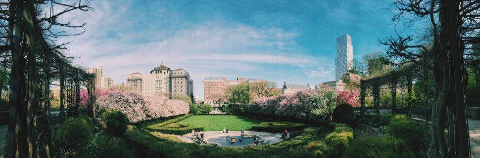 Free Image of Urban Park With Trees and Buildings 