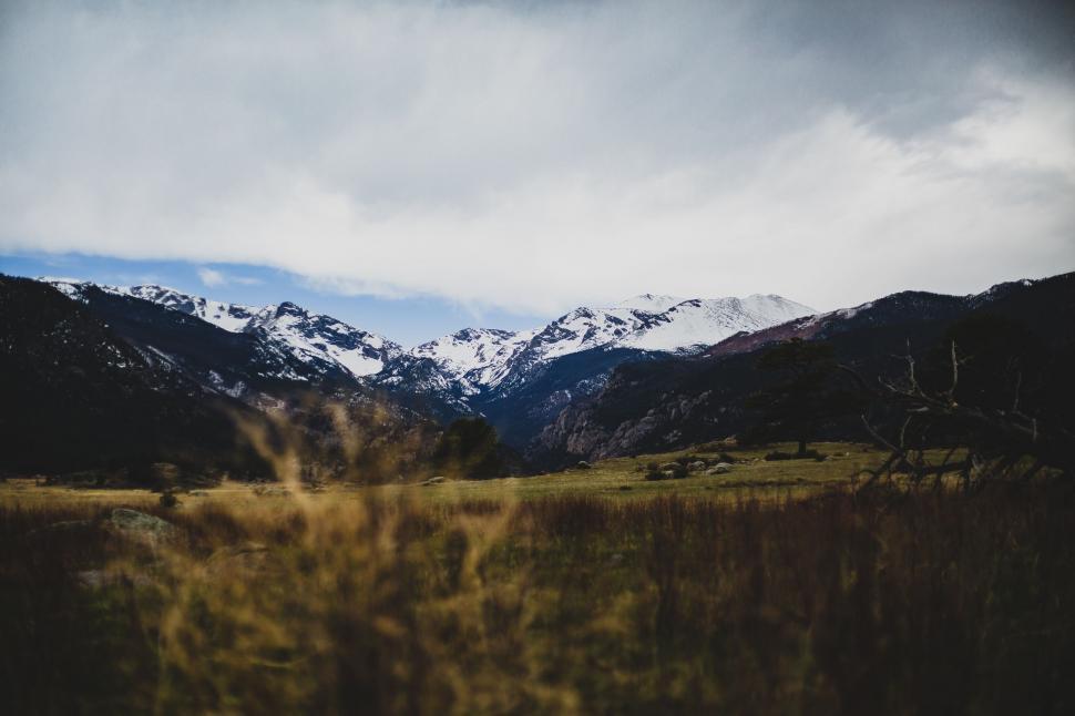 Free Image of Grassy Field With Mountains Background 