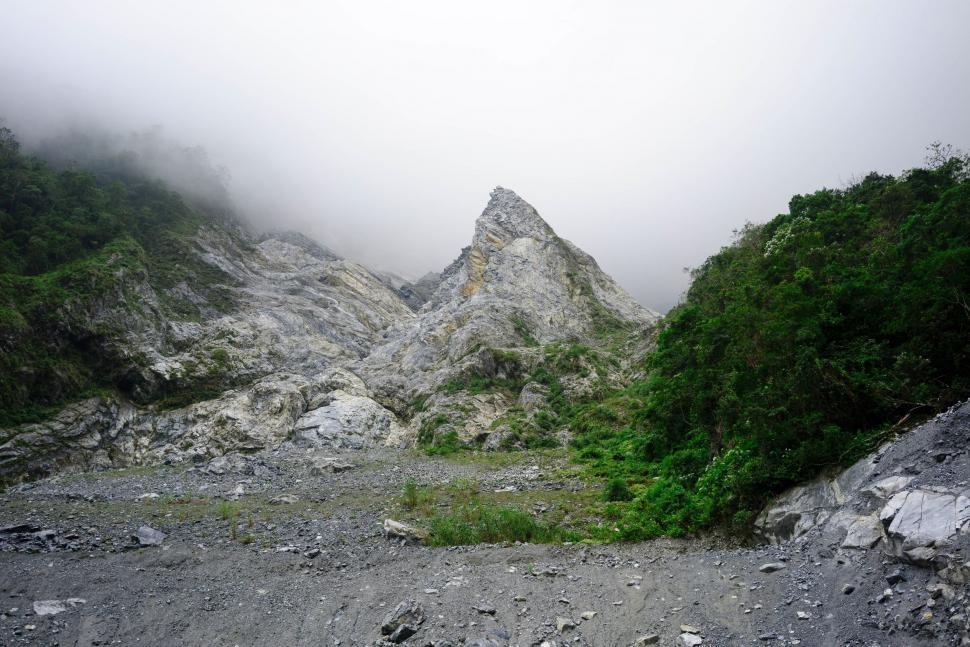 Free Image of Fog-covered Mountain Next to Forest 
