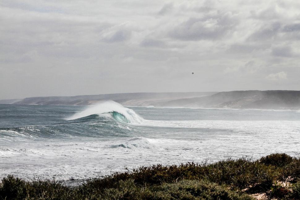 Free Image of A Wave Breaking in the Ocean 