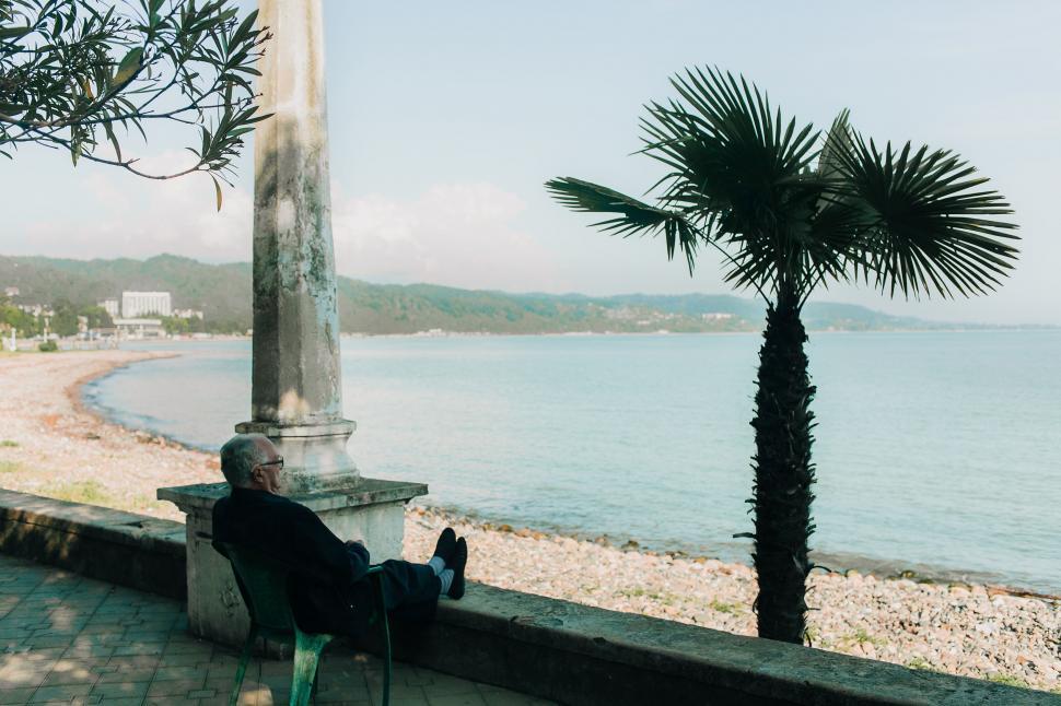 Free Image of Man Sitting on Bench Next to Palm Tree 