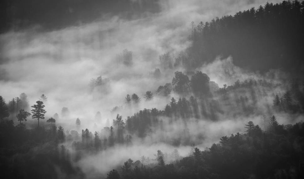 Free Image of Mountain Covered in Fog 