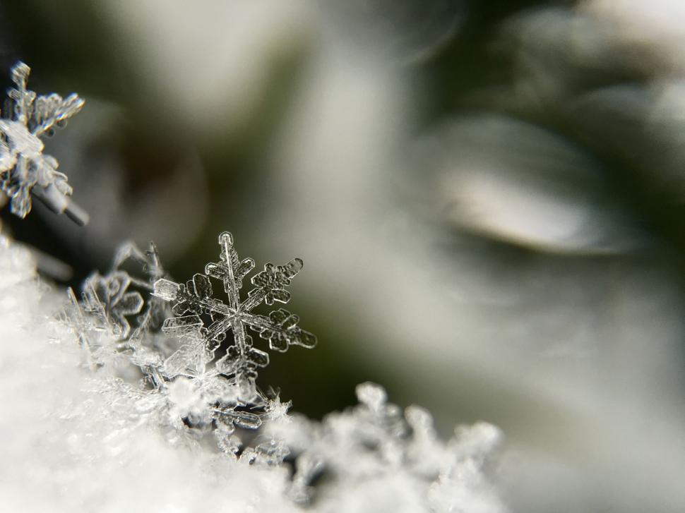 Free Image of Snow Flakes Falling in Black and White 