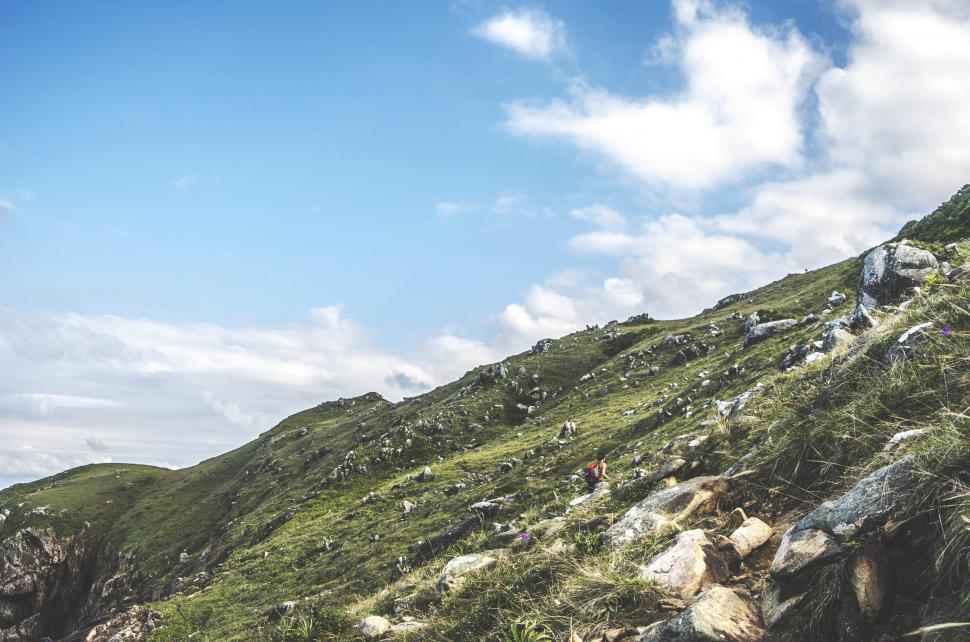 Free Image of Man Riding Skateboard Down Lush Green Hillside 