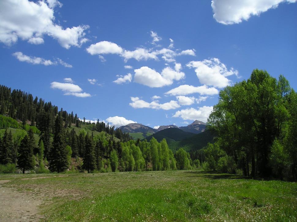 Free Image of Some clouds in the sky 