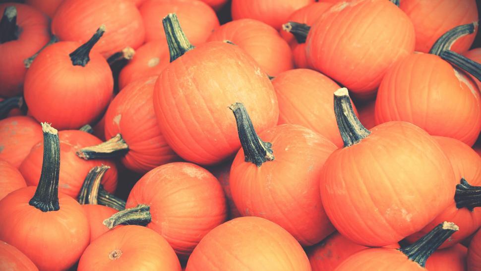 Free Image of A Pile of Orange Pumpkins 