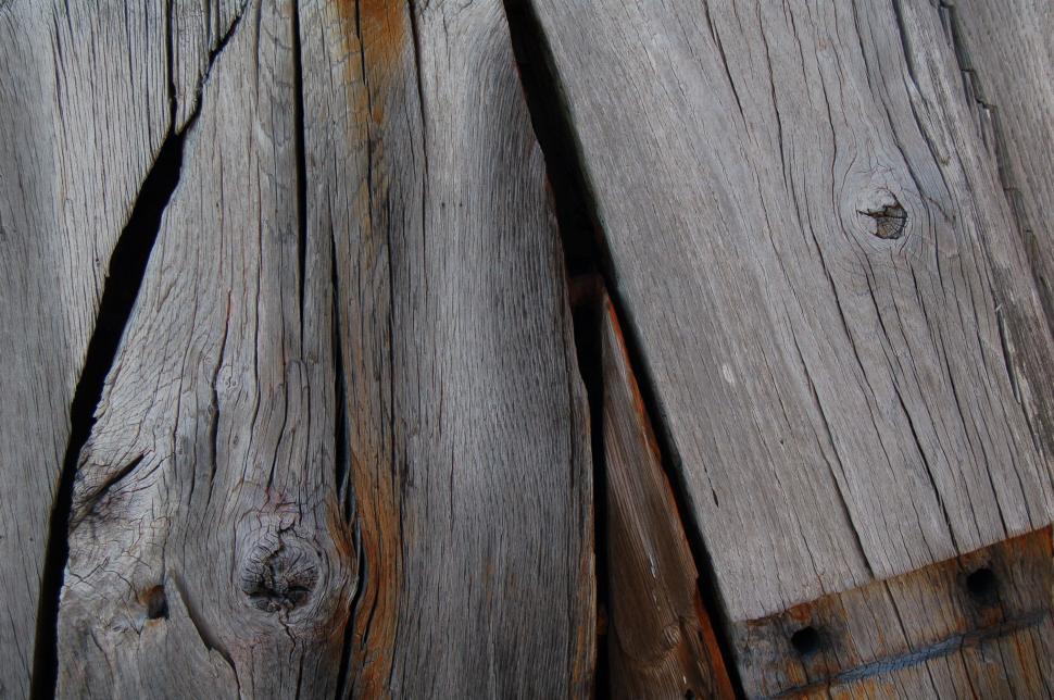 Free Image of Bird Perched on Top of Wooden Fence 